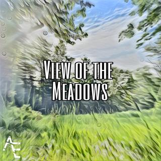 View of the Meadows