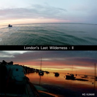 London's Last Wilderness - II