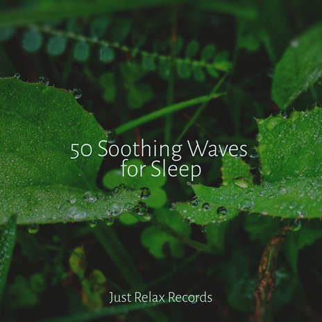 Melodic Journey Under Moonlight ft. Sonidos de la Naturaleza Relajacion & Spa & Spa