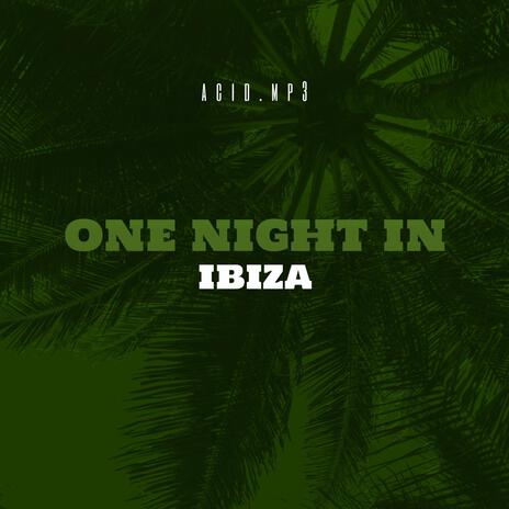 One Night In Ibiza