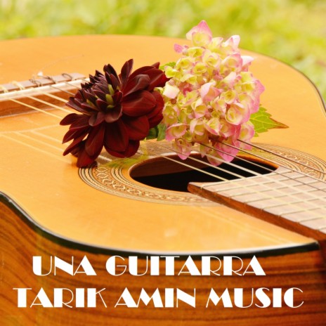 UNA GUITARRA | Boomplay Music