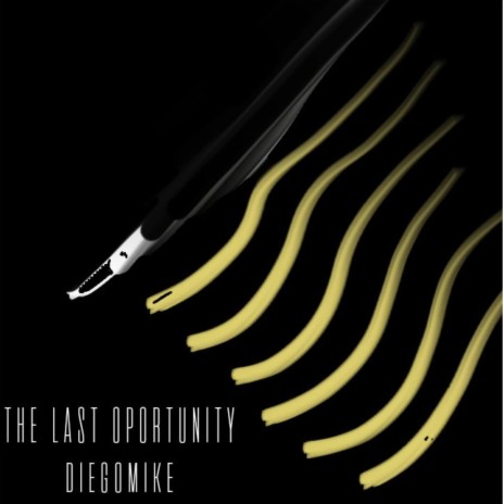 The last opportunity | Boomplay Music