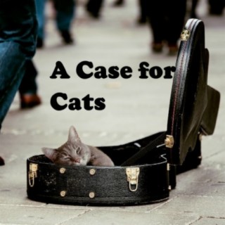 A Case for Cats