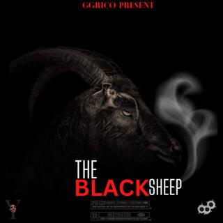 The Black Sheep