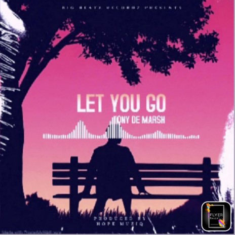 Let you go by Tony De Marsh | Boomplay Music