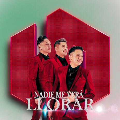 Nadie Me Verá Llorar | Boomplay Music