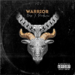 Warrior (feat. MadMax)