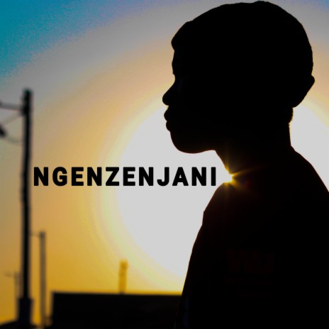 Ngenzenjani | Boomplay Music