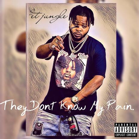 THEY DONT NO MY PAIN | Boomplay Music