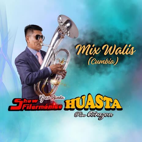 Mix Walis (cumbia) | Boomplay Music