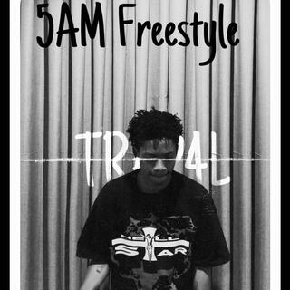 The 5AM freestyle (Vol 1) lyrics | Boomplay Music