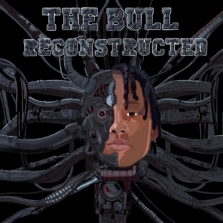 The Bull Reconstructed