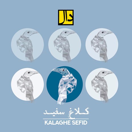 Kalaghe Sefid | Boomplay Music