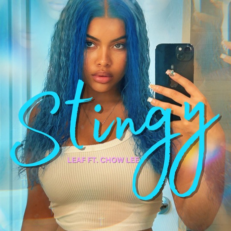 Stingy (feat. Chow Lee) | Boomplay Music