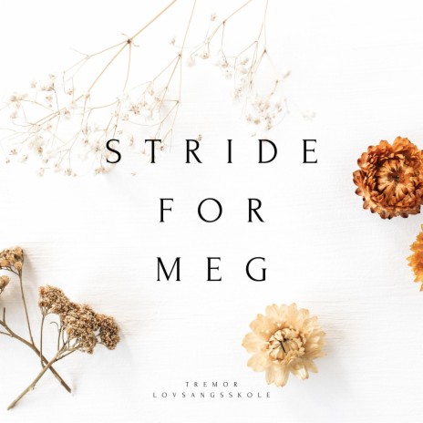 Stride for meg | Boomplay Music