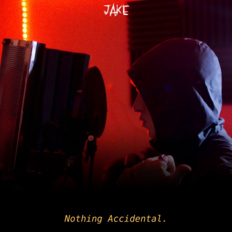 Nothing Accidental | Boomplay Music