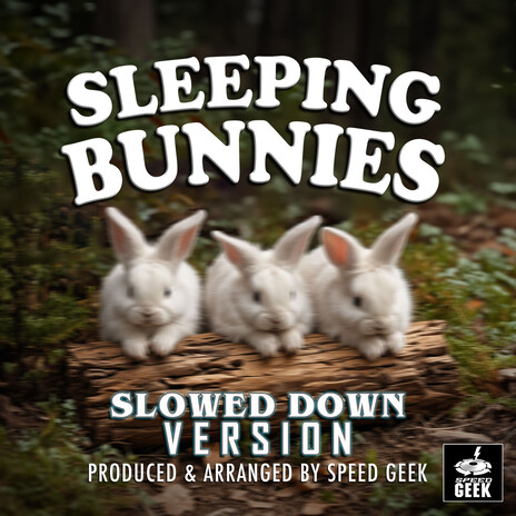 Sleeping Bunnies (Slowed Down Version) | Boomplay Music