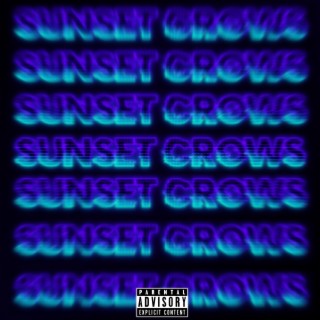 Sunset Crows