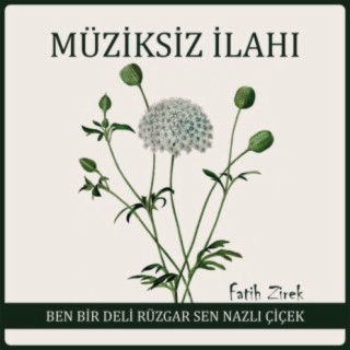 Ben bir deli rüzgar sen nazlı çiçek