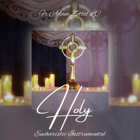 Holy | Boomplay Music