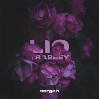 Sorgen (feat. trabbey)