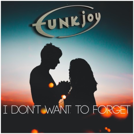 I Don't Want To Forget | Boomplay Music