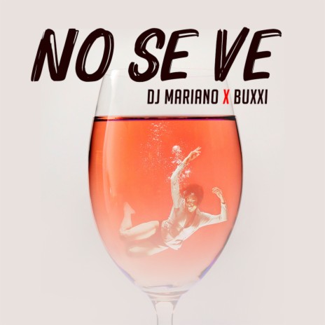 No Se Ve ft. DJ Mariano | Boomplay Music