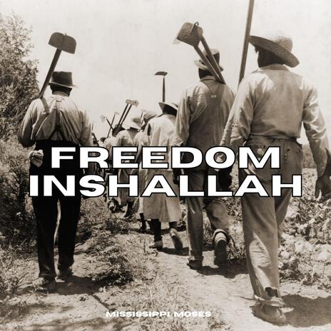 Freedom Inshallah | Boomplay Music