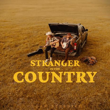 Stranger In The Country (Instrumental) | Boomplay Music