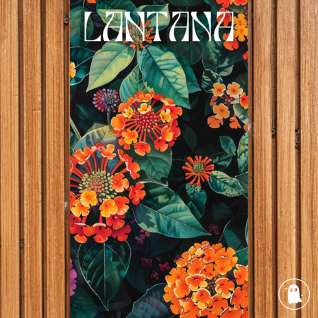 Lantana