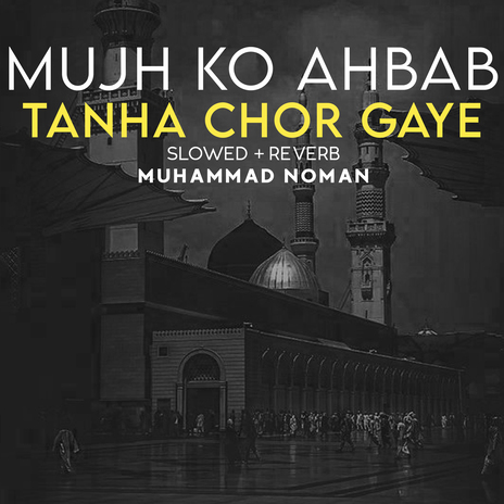 Mujh Ko Ahbab Tanha Chor Gaye Lofi | Boomplay Music