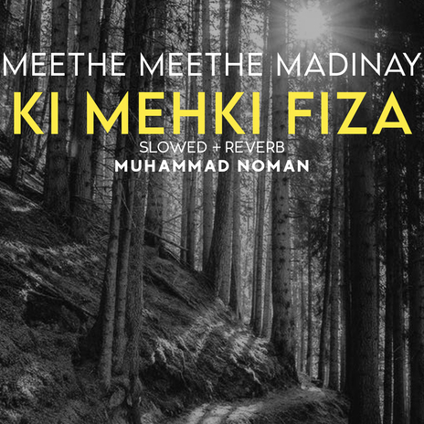 Meethe Meethe Madinay Ki Mehki Fiza Lofi | Boomplay Music