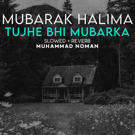 Mubarak Halima Tujhe Bhi Mubarak Lofi | Boomplay Music