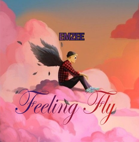 Feeling Fly | Boomplay Music