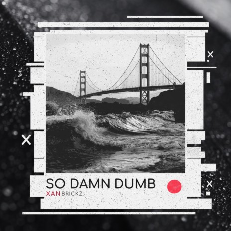 So Damn Dumb | Boomplay Music