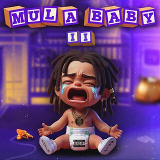 Mula F Baby lyrics | Boomplay Music