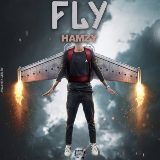 Fly