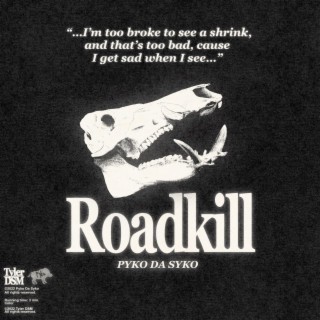 ROADKiLL lyrics | Boomplay Music