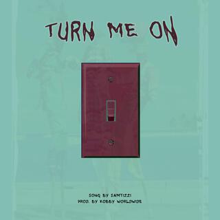 Turn Me On lyrics | Boomplay Music