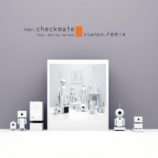 Checkmate (Bluetech Remix) ft. Shelley Harland & Bluetech lyrics | Boomplay Music