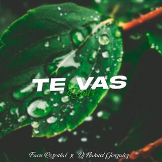 Te Vas (Remix)