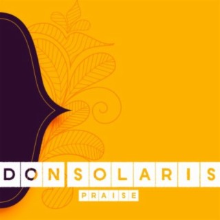 Don Solaris