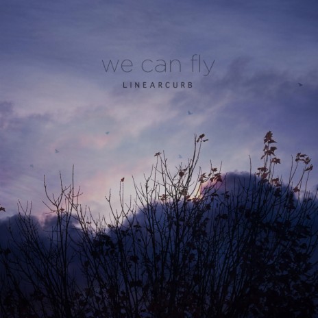 We Can Fly (Original Mix)