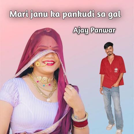 Mari janu ka pankudi sa gal