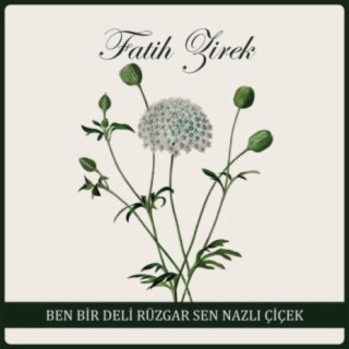 Ben Bir Deli Rüzgar Sen Nazlı Çiçek