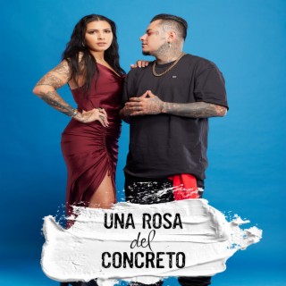 Una Rosa Del Concreto