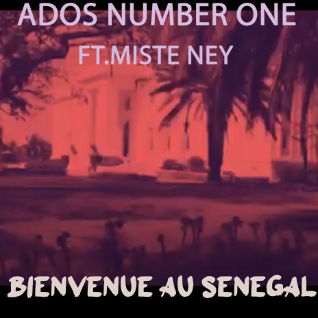 Bienvenue au Sénégal