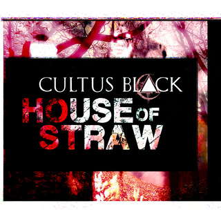 House Of Straw