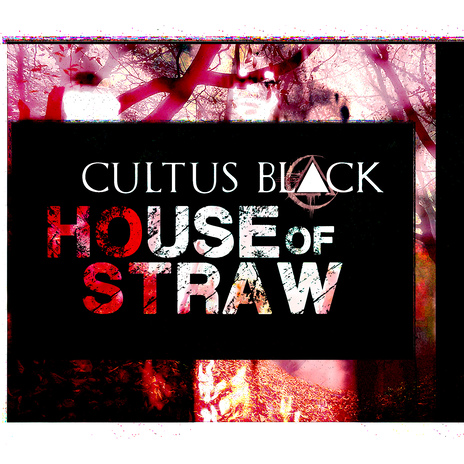 House Of Straw | Boomplay Music