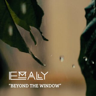 Beyond The Window